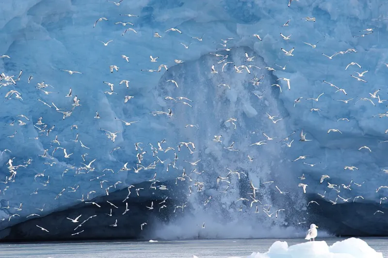 A Closing Window: The Arctic Experiences That May Not Survive the Decade