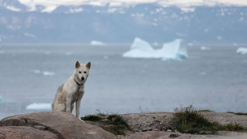 Expedition Dollars With Purpose: How to Travel the Arctic in Ways That Strengthen Remote Communities