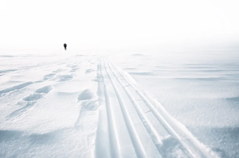 What the Ice Strips Away: How the Arctic Forces Americans to Confront What They Actually Value